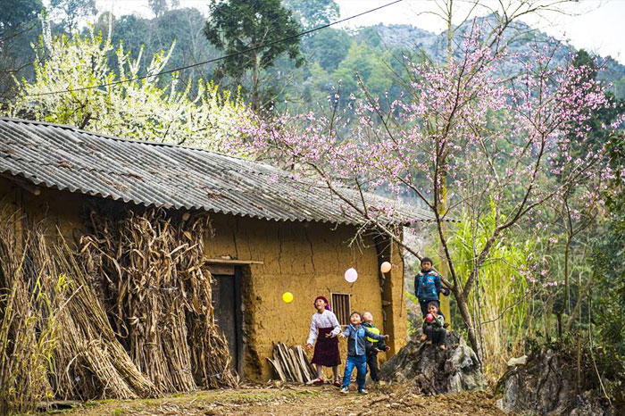 Que faire à Hà Giang ? Découvrez nos coups de cœur à Hà Giang