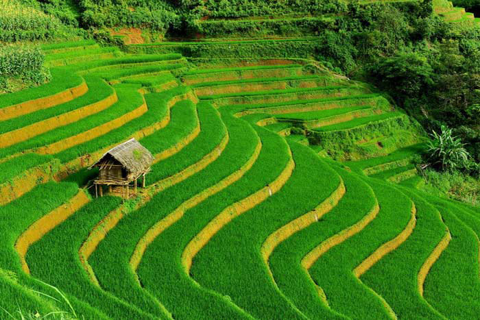 Sapa en 10 incontournables : top 10 activités à Sapa