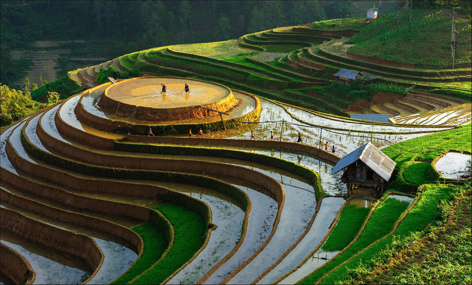 8 bonnes raisons de partir en voyage au Vietnam