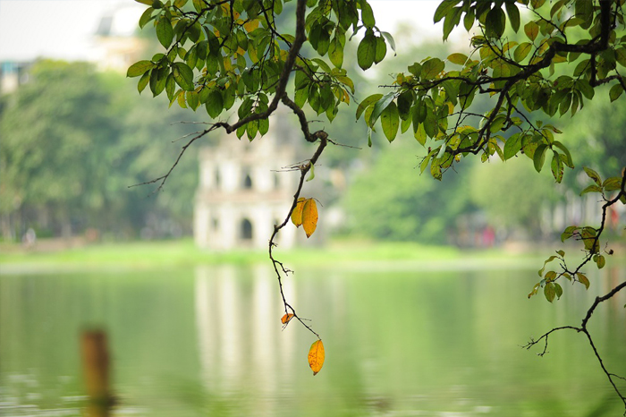 5 raisons pour voyager au Vietnam en automne