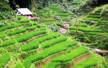 Sapa – Mu Cang Chai 