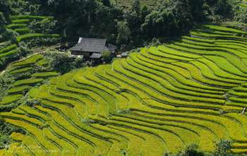 Mu Cang Chai – Na Tam – Binh Lu – Sapa
