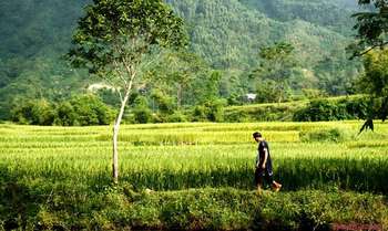 Nghia Lo – Tu Le – Muc Cang Chai