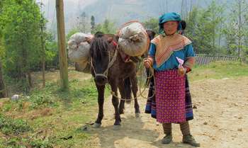 Thac Ba – Trung Do - Bac Ha
