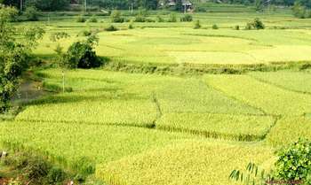 Nghia Lo – Tu Le