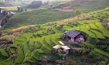 Sapa – Marché des ethnies - Bac Ha