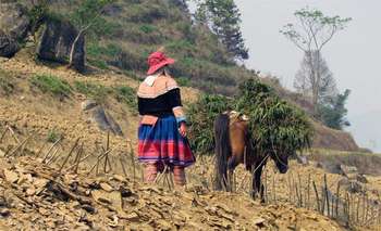 Sapa – Bac Ha