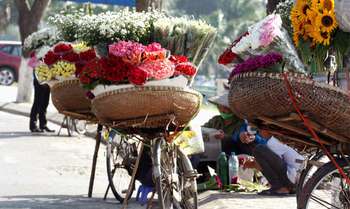 Ha Noi – arrivée - transfert à l’hôtel