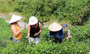 Hanoi – Nghia Lo