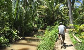 Ho Chi Minh Ville (Saigon) - Ben Tre - Long Xuyen