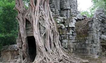 Siem Reap