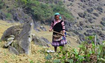 Hanoi – Bac Ha 