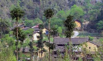 Dong Van - Meo Vac – Bao Lac