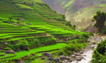 Sapa authentique