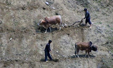 Vietnam du Nord hors des sentiers battus