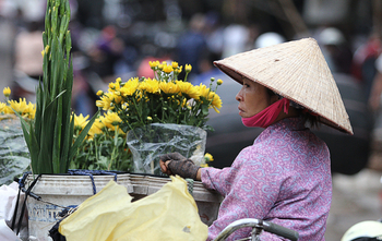 Escapade au Vietnam