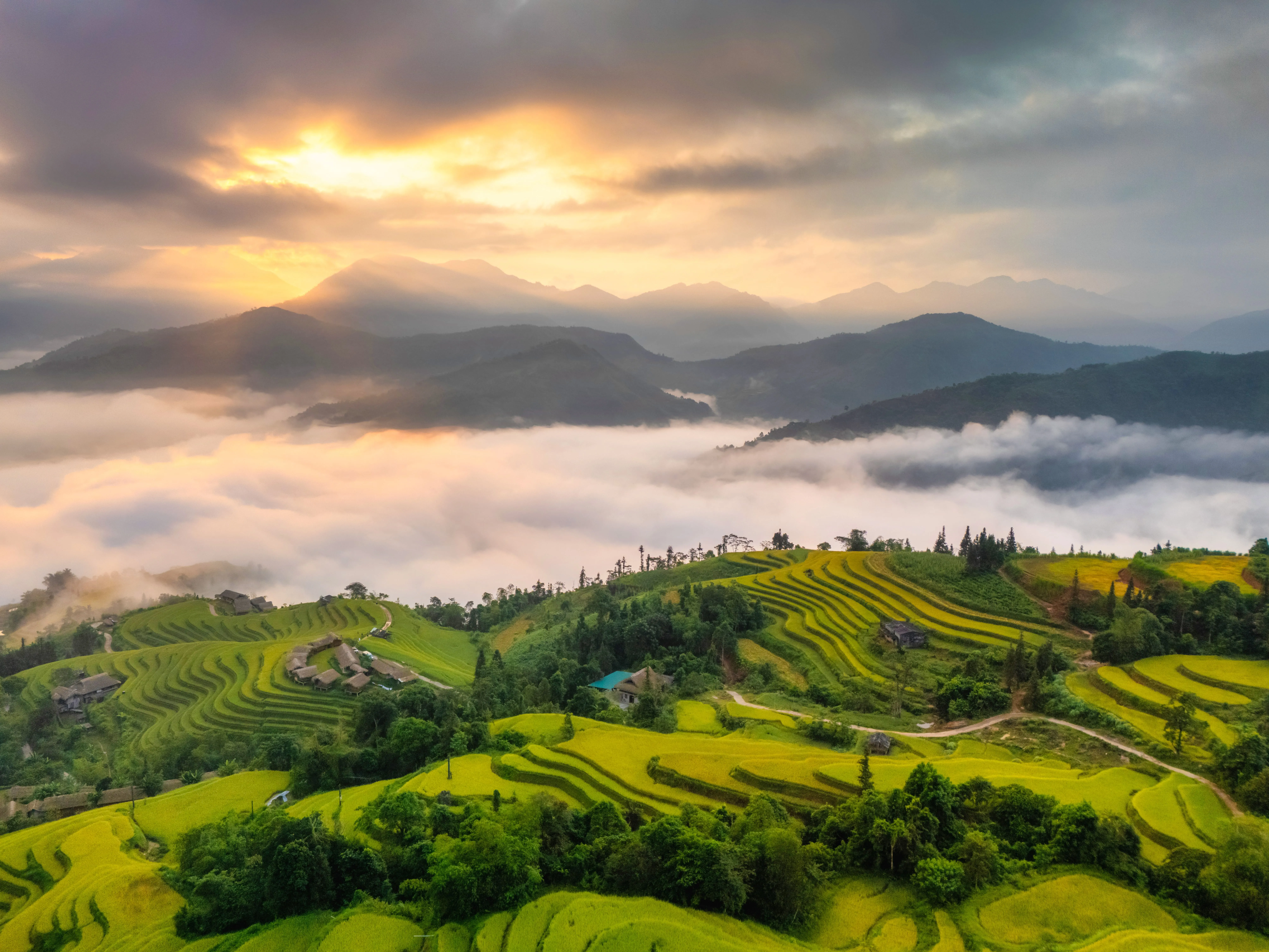 Agence de voyage francophone au Vietnam, Voyage au Vietnam