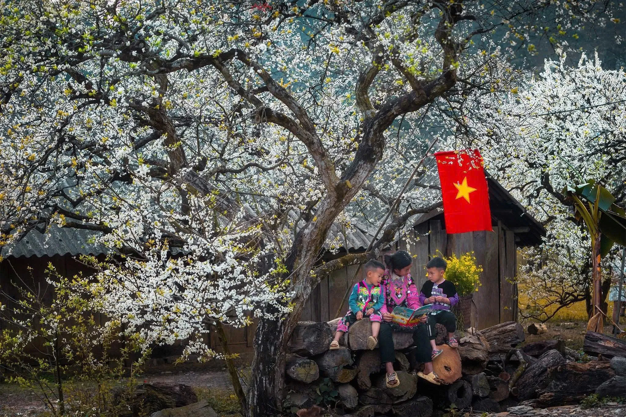 Agence de voyage francophone au Vietnam, Voyage au Vietnam