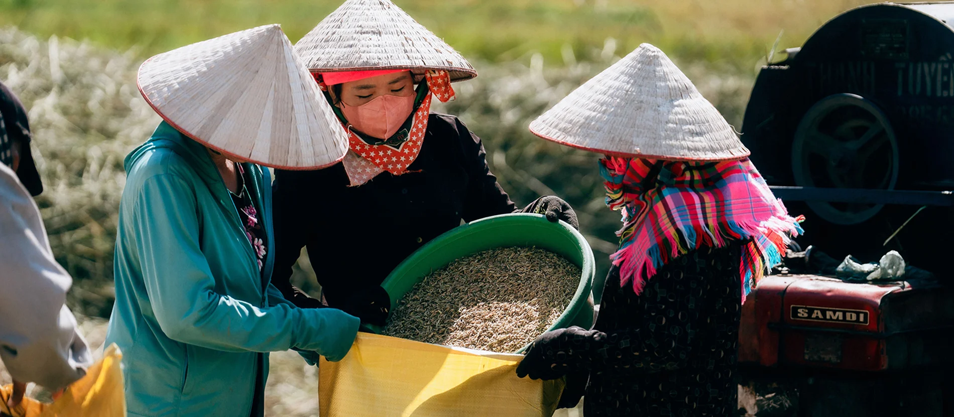 Agence de voyage francophone au Vietnam, Voyage au Vietnam